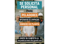 empleo-para-camaronera-small-0